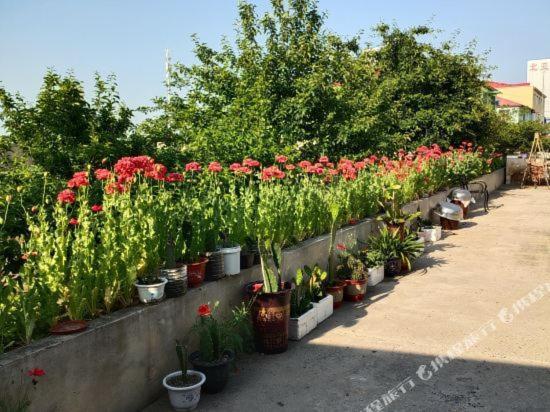 فندق 哈尔滨机场东方红运宾馆 المظهر الخارجي الصورة